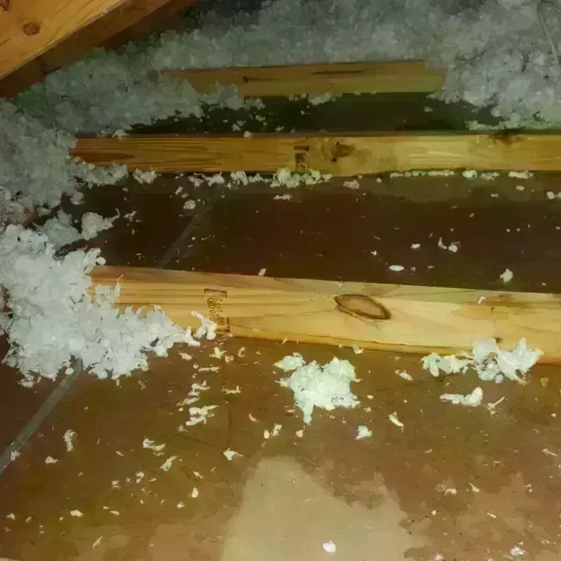 Attic Water Damage in Yukon, OK