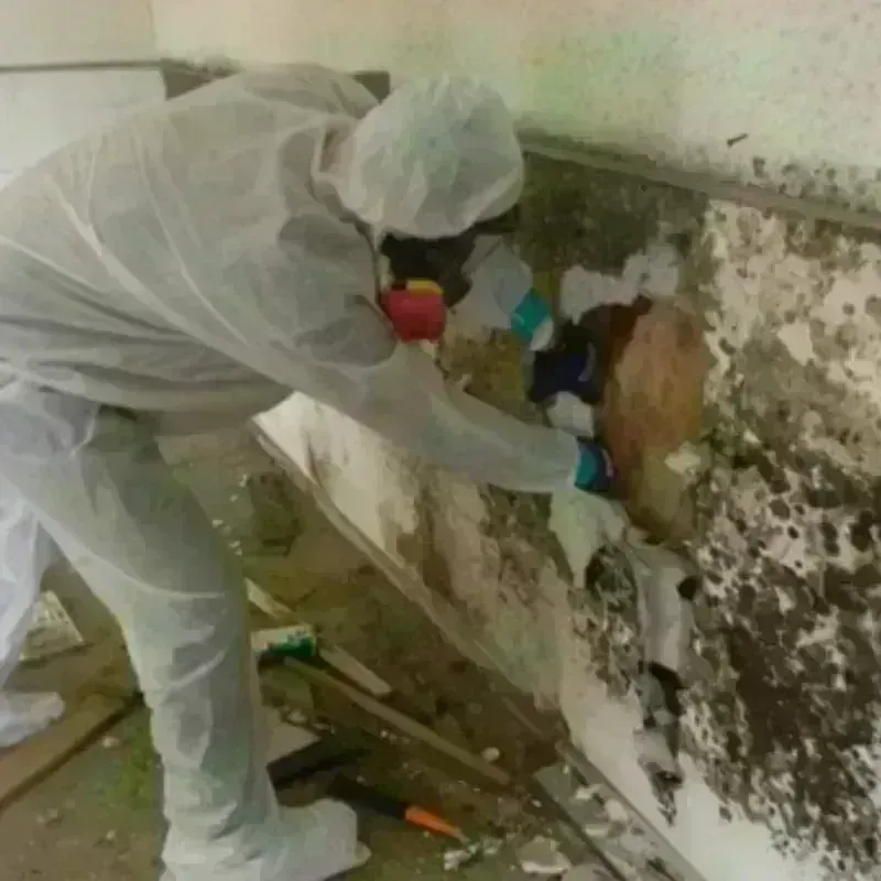 Mold Remediation and Removal in Yukon, OK