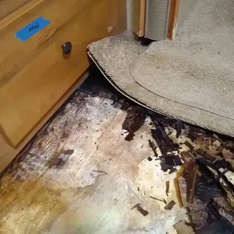 Wood Floor Water Damage in Yukon, OK